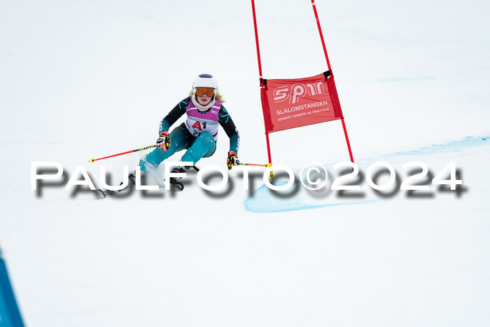 1. SVM Cup Willi-Wein-Gedächtnisrennen, RS, 05.01.2023