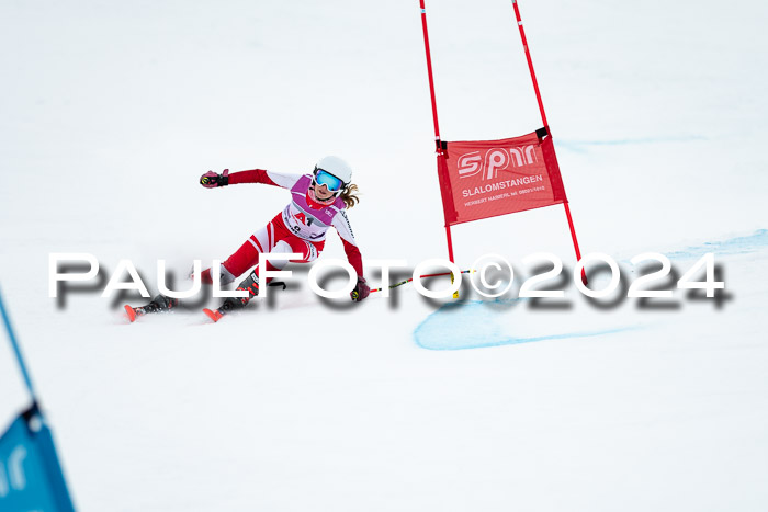 1. SVM Cup Willi-Wein-Gedächtnisrennen, RS, 05.01.2023