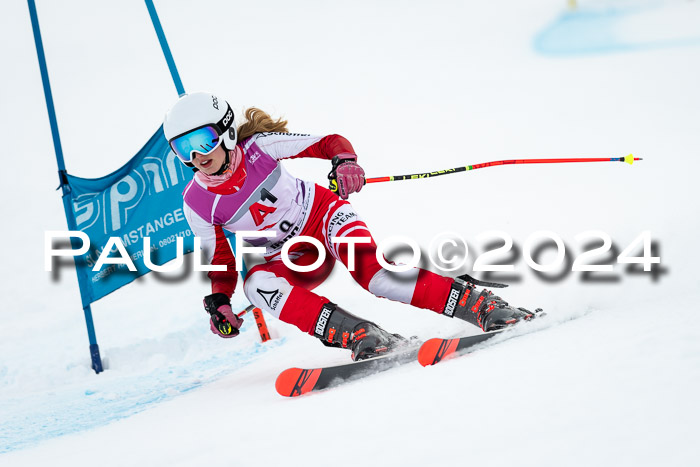 1. SVM Cup Willi-Wein-Gedächtnisrennen, RS, 05.01.2023