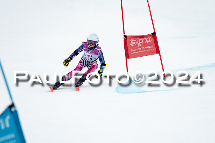 1. SVM Cup Willi-Wein-Gedächtnisrennen, RS, 05.01.2023