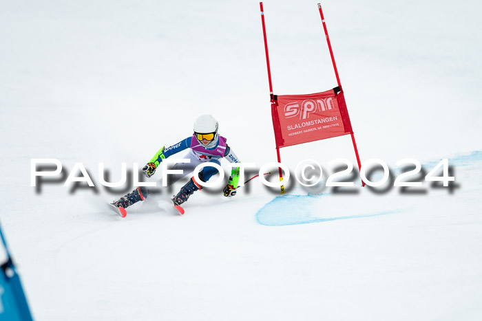 1. SVM Cup Willi-Wein-Gedächtnisrennen, RS, 05.01.2023