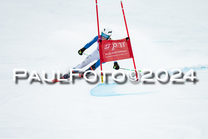 1. SVM Cup Willi-Wein-Gedächtnisrennen, RS, 05.01.2023