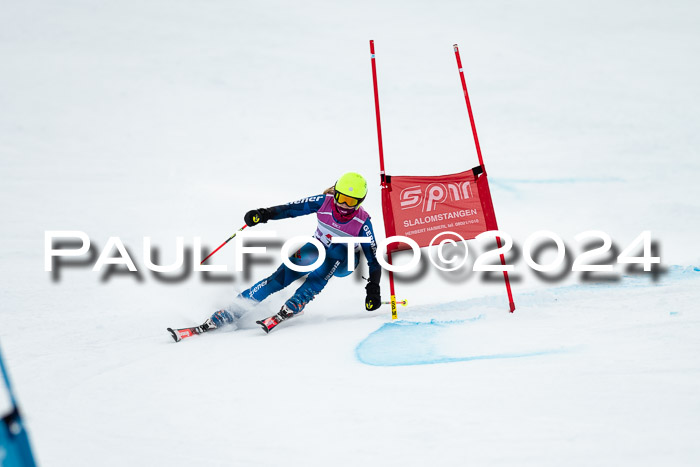 1. SVM Cup Willi-Wein-Gedächtnisrennen, RS, 05.01.2023