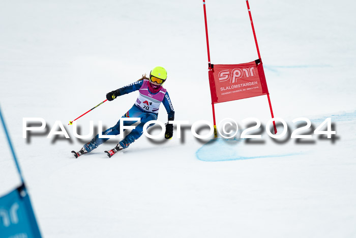 1. SVM Cup Willi-Wein-Gedächtnisrennen, RS, 05.01.2023