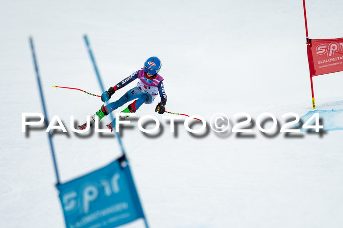 1. SVM Cup Willi-Wein-Gedächtnisrennen, RS, 05.01.2023