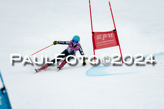 1. SVM Cup Willi-Wein-Gedächtnisrennen, RS, 05.01.2023