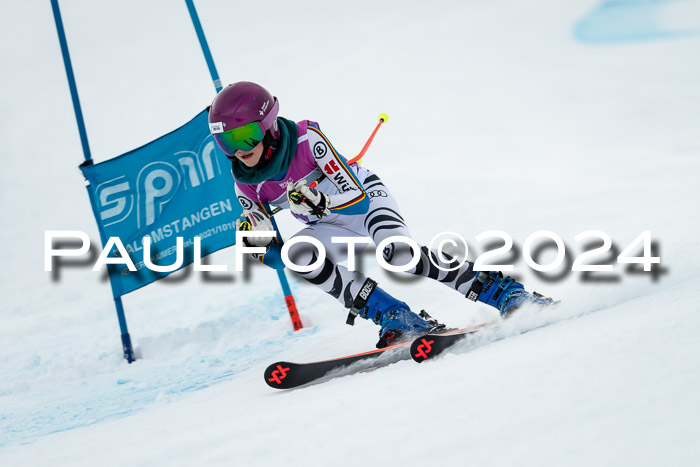 1. SVM Cup Willi-Wein-Gedächtnisrennen, RS, 05.01.2023