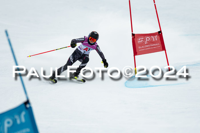 1. SVM Cup Willi-Wein-Gedächtnisrennen, RS, 05.01.2023