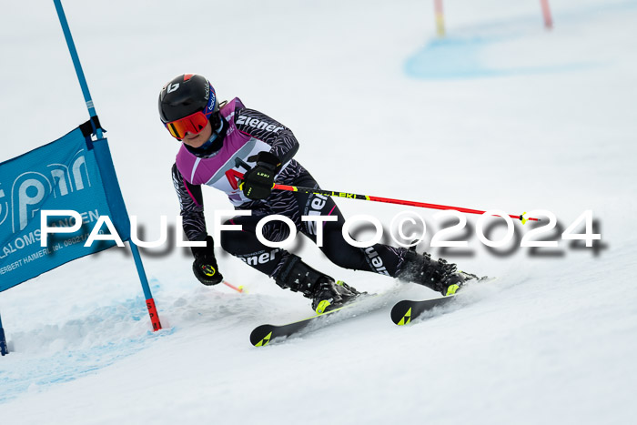 1. SVM Cup Willi-Wein-Gedächtnisrennen, RS, 05.01.2023