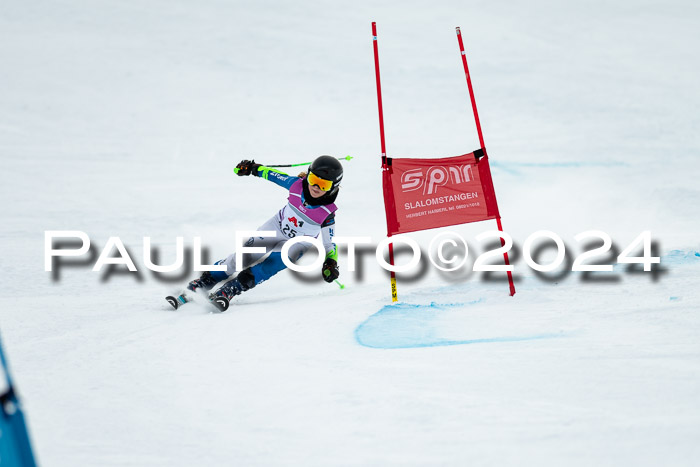 1. SVM Cup Willi-Wein-Gedächtnisrennen, RS, 05.01.2023