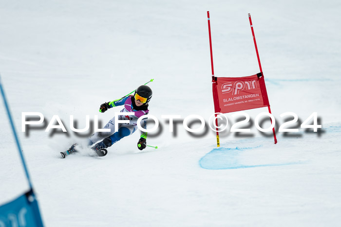 1. SVM Cup Willi-Wein-Gedächtnisrennen, RS, 05.01.2023