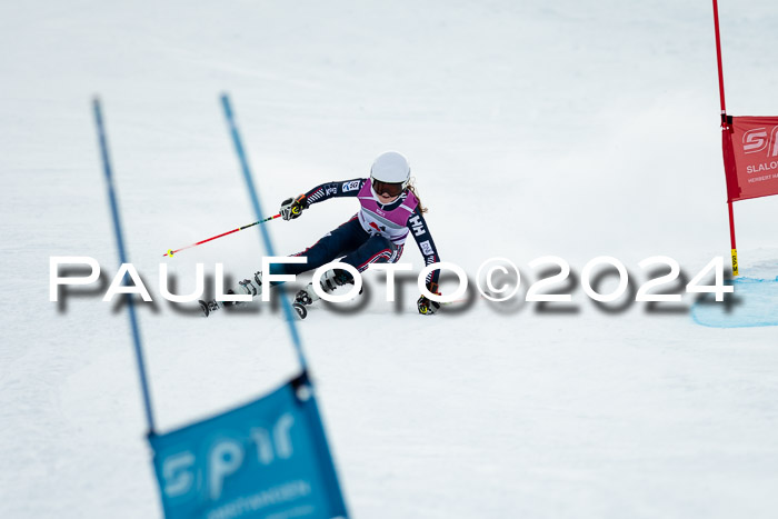 1. SVM Cup Willi-Wein-Gedächtnisrennen, RS, 05.01.2023