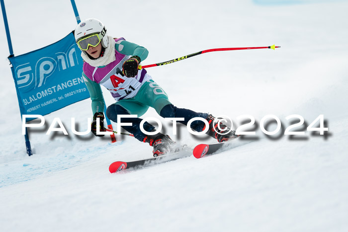 1. SVM Cup Willi-Wein-Gedächtnisrennen, RS, 05.01.2023