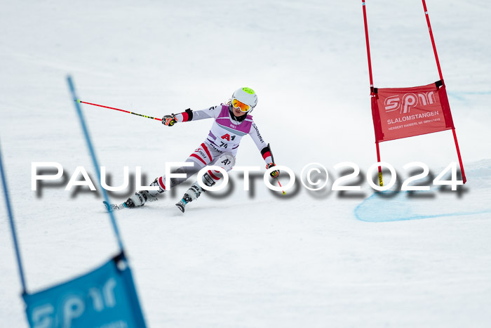 1. SVM Cup Willi-Wein-Gedächtnisrennen, RS, 05.01.2023