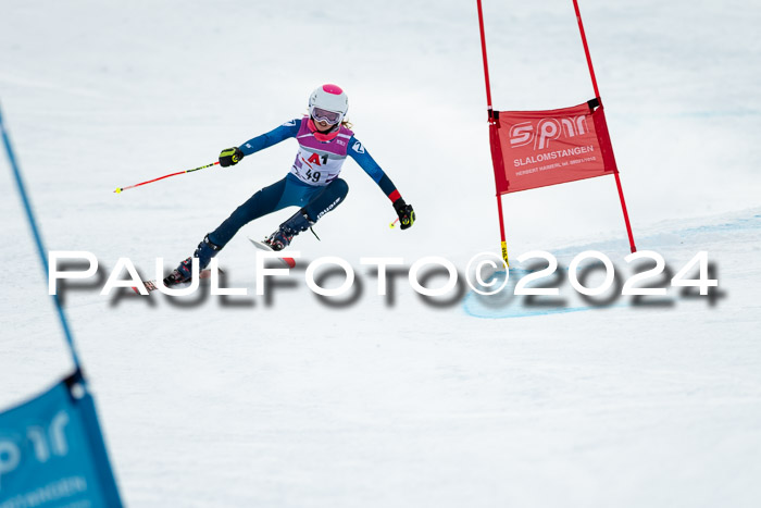 1. SVM Cup Willi-Wein-Gedächtnisrennen, RS, 05.01.2023