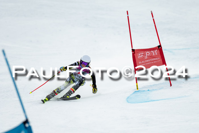 1. SVM Cup Willi-Wein-Gedächtnisrennen, RS, 05.01.2023