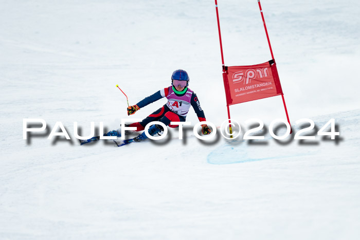 1. SVM Cup Willi-Wein-Gedächtnisrennen, RS, 05.01.2023