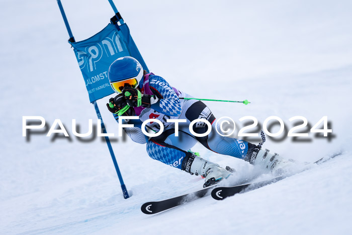 1. SVM Cup Willi-Wein-Gedächtnisrennen, RS, 05.01.2023