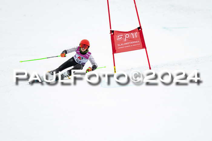 1. SVM Cup Willi-Wein-Gedächtnisrennen, RS, 05.01.2023