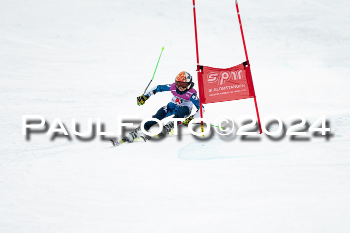 1. SVM Cup Willi-Wein-Gedächtnisrennen, RS, 05.01.2023