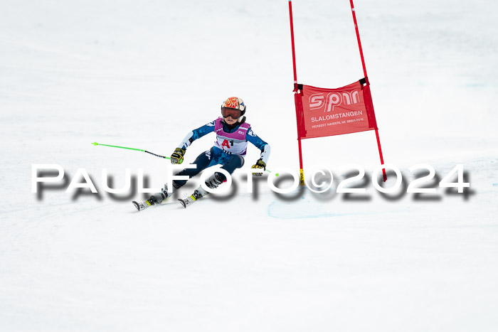 1. SVM Cup Willi-Wein-Gedächtnisrennen, RS, 05.01.2023