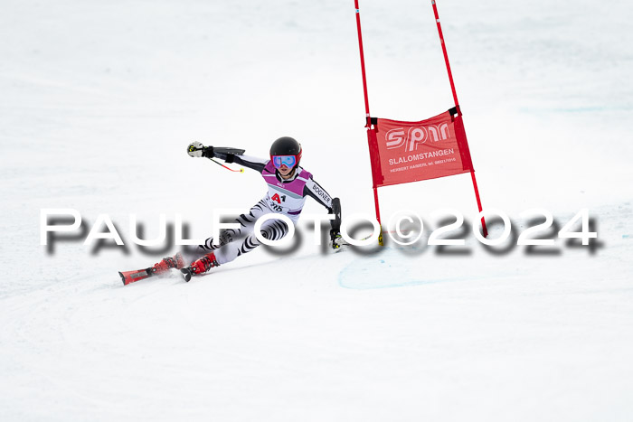 1. SVM Cup Willi-Wein-Gedächtnisrennen, RS, 05.01.2023