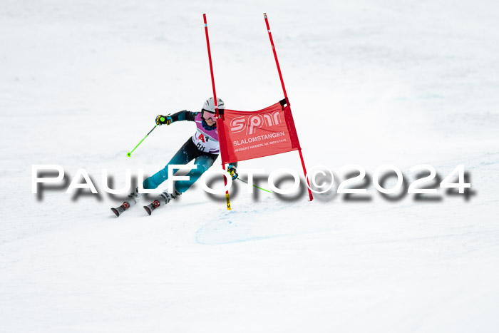 1. SVM Cup Willi-Wein-Gedächtnisrennen, RS, 05.01.2023