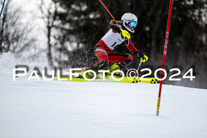 5. BZB CUP SL + Werdenfelser Meisterschaft, 14.02.2024