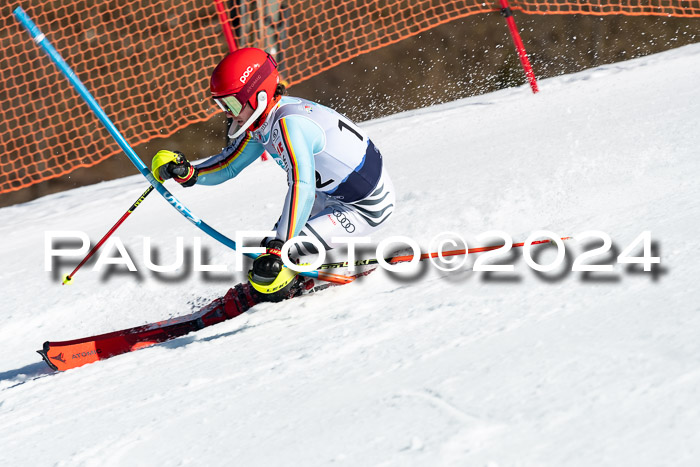 FIS + NJC Slalom Herren 02.03.2024