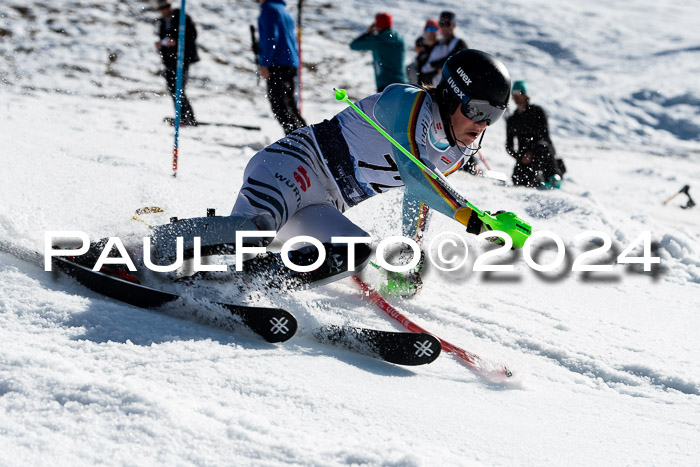 FIS + NJC Slalom Herren 02.03.2024