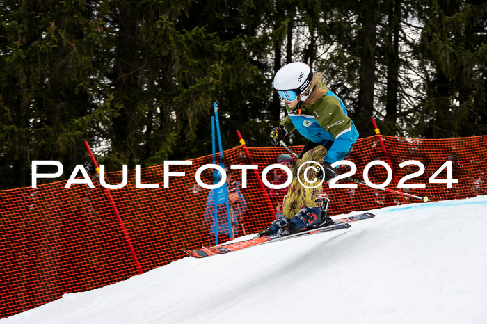 DSV - ELK Deutscher Schülercup U12 Finale RSX