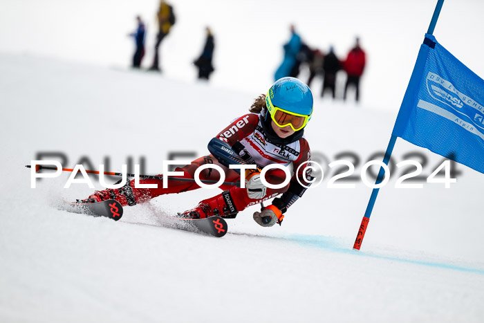 DSV - ELK Deutscher Schülercup U12 Finale RSX