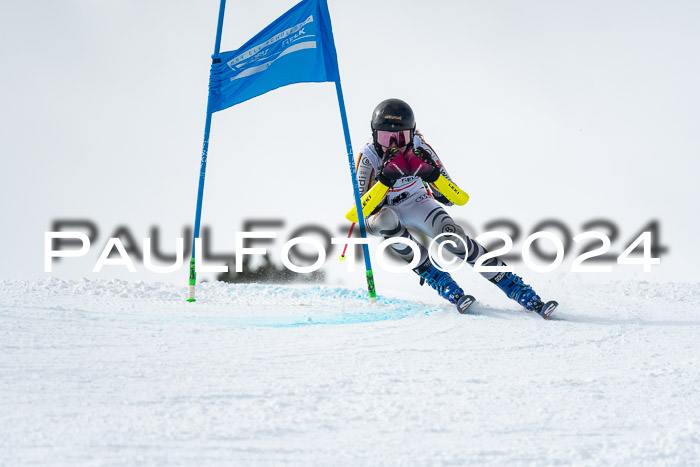 DSV - ELK Deutscher Schülercup U12 Finale RSX