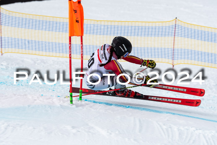 DSV - ELK Deutscher Schülercup U12 Finale RSX