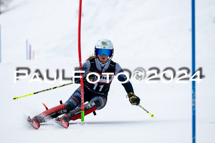 NC Slalom  Damen + Herren Axams, 23.03.2024