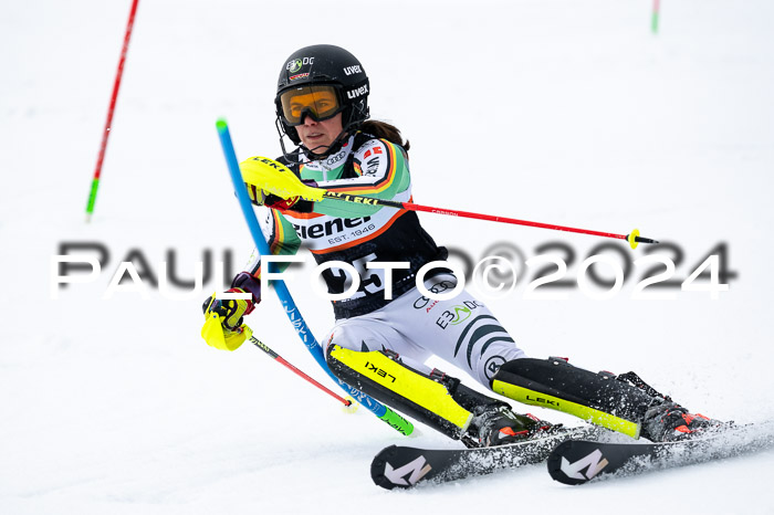 NC Slalom  Damen + Herren Axams, 23.03.2024