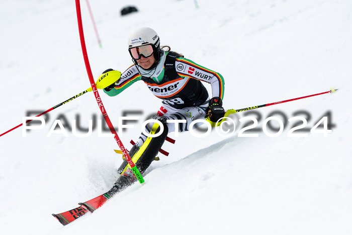 NC Slalom  Damen + Herren Axams, 23.03.2024