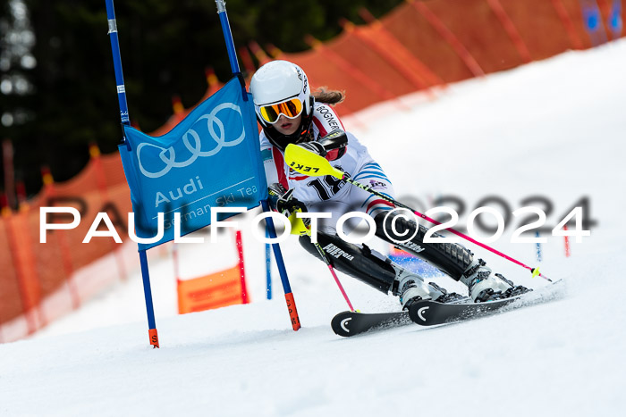 DSV - ELK Deutscher Schülercup U12 Finale SLX