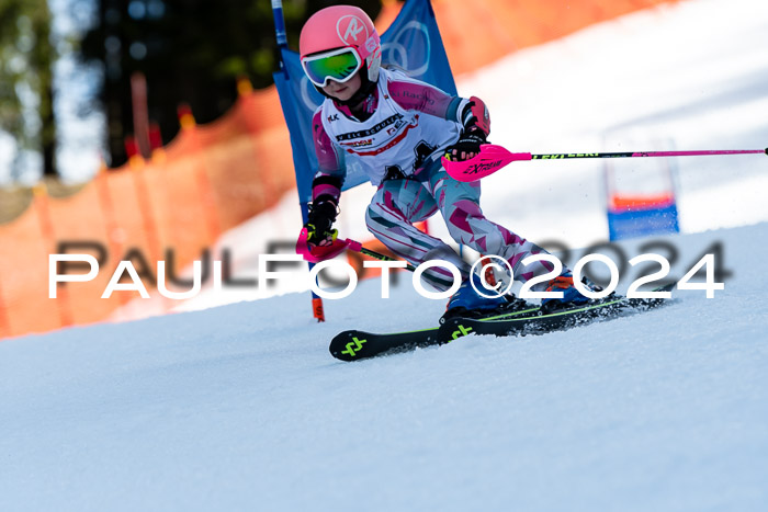 DSV - ELK Deutscher Schülercup U12 Finale SLX