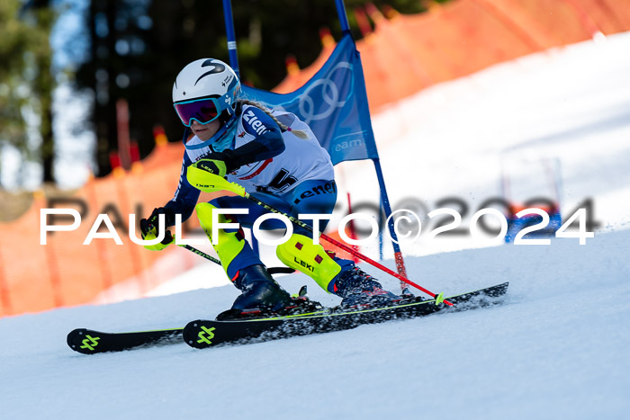 DSV - ELK Deutscher Schülercup U12 Finale SLX