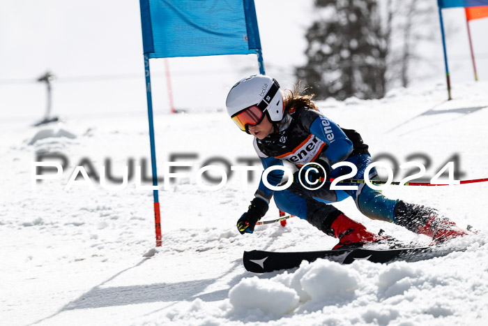 Ziener Cup Finale WF PSL, 30.03.2024 