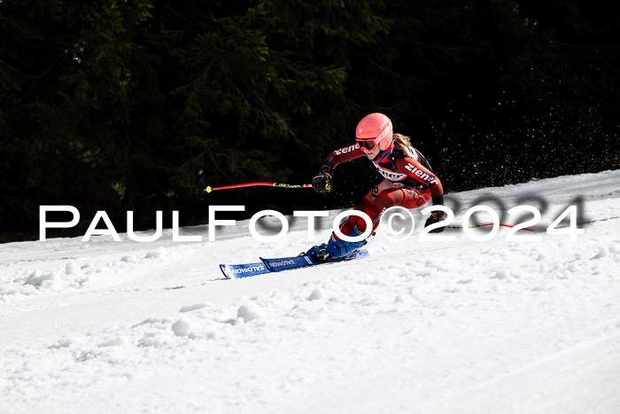 Ziener Cup Finale WF PSL, 30.03.2024 