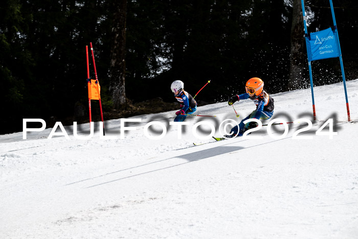 Ziener Cup Finale WF PSL, 30.03.2024 