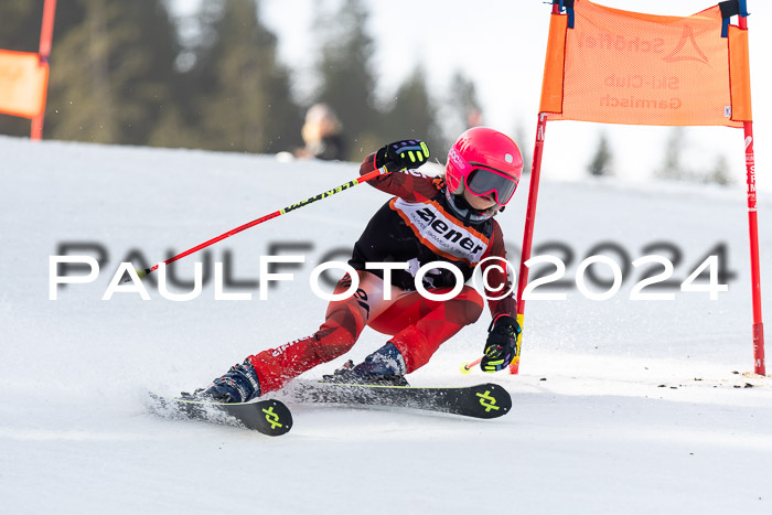 Ziener Cup Finale WF PSL, 30.03.2024 