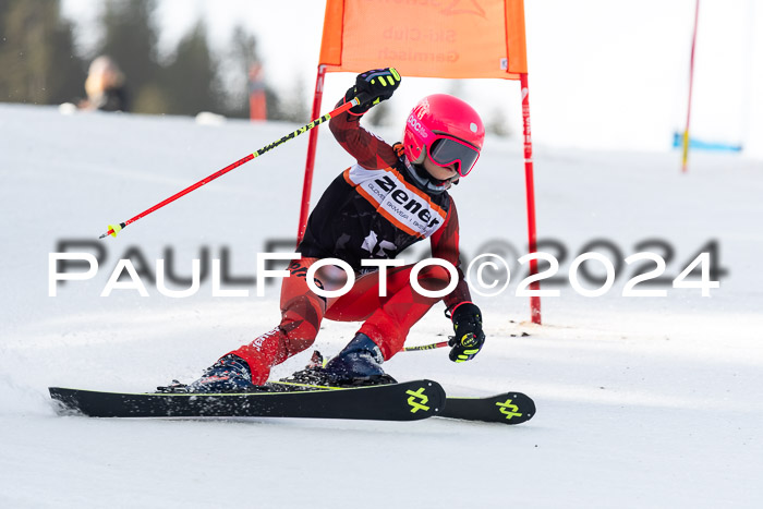 Ziener Cup Finale WF PSL, 30.03.2024 