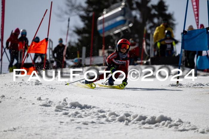 Ziener Cup Finale WF PSL, 30.03.2024 