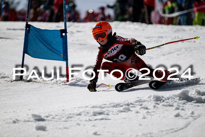 Ziener Cup Finale WF PSL, 30.03.2024 