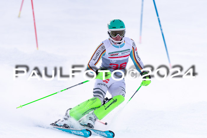 FIS Slalom Damen + Herren, 07.12.2024