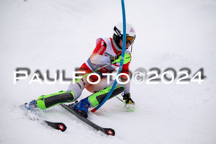 FIS Slalom Damen + Herren, 07.12.2024