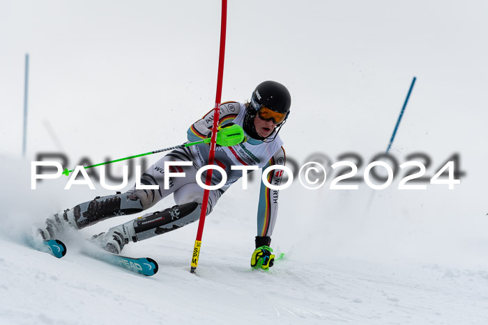 FIS Slalom Damen + Herren, 07.12.2024